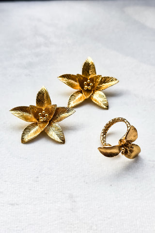 Bud Earring Ring Set
